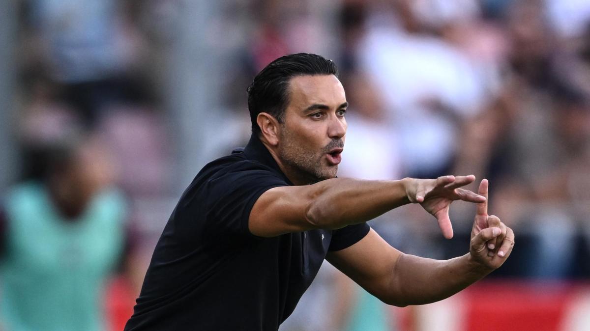Bologna, Palladino: "La vittoria non cancella le difficoltà. Su Pessina..."
